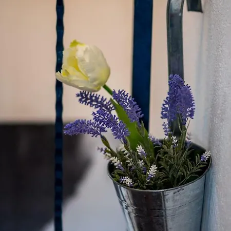 Lanterna * Vrbnik (Primorje-Gorski Kotar)